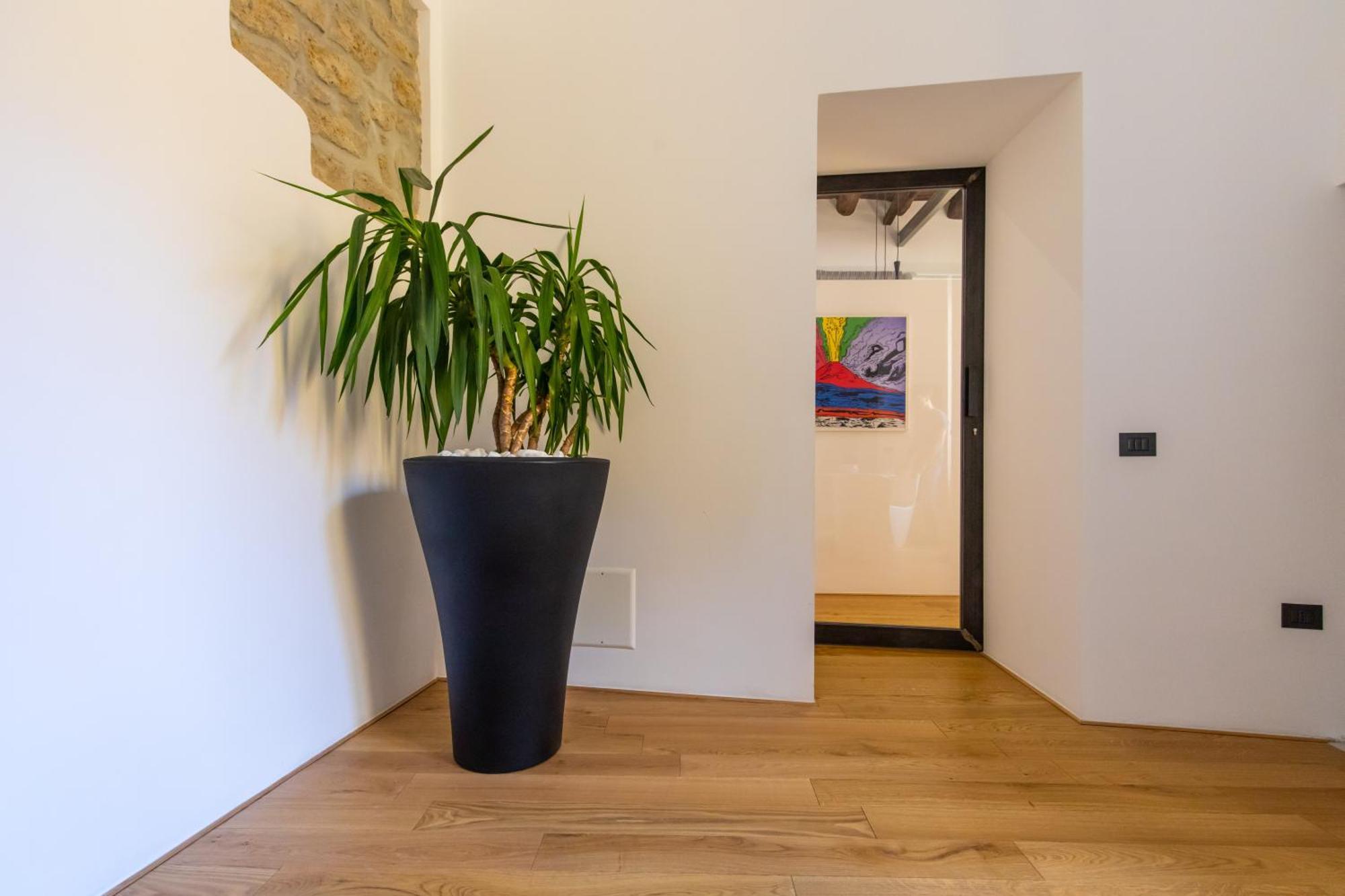 Apartamento Amana